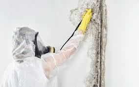 Best HVAC Mold Inspection and Cleaning  in Greenbrier, AR